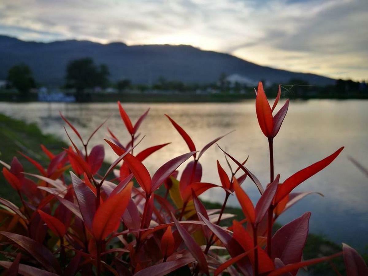 Green Lake Resort - Sha Extra Plus Certified Chiang Mai Zewnętrze zdjęcie